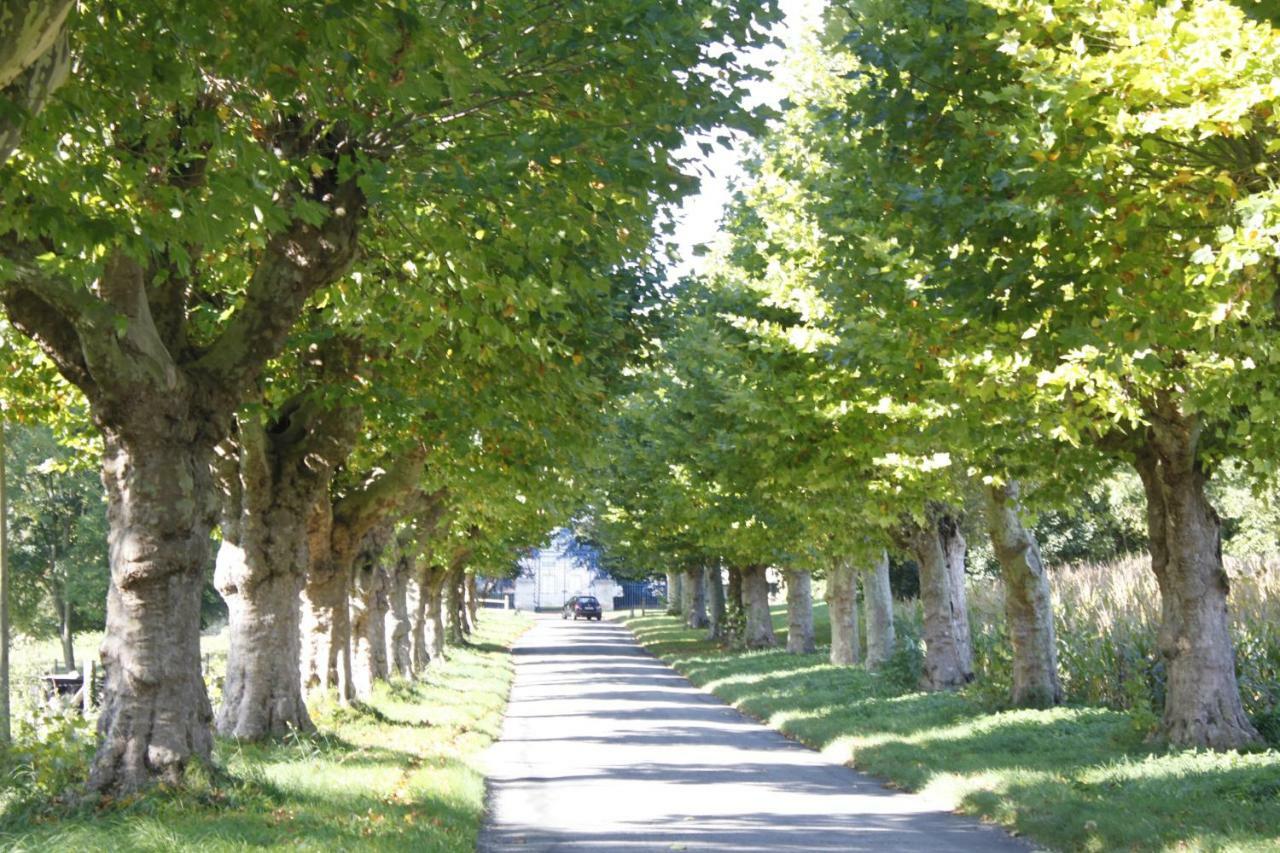 Avenue Du Chateau Saint-Just  Bagian luar foto